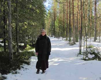 Vägen till Mjösjön